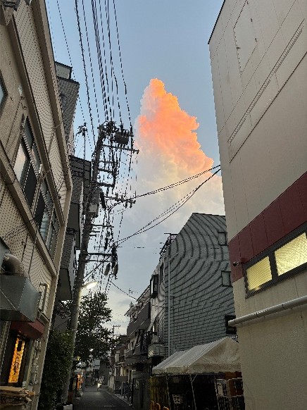 202610写真 (3)